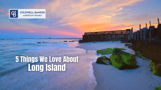 Long Island has a rich history and an exciting community. Here are just a handful of our favorite aspects of Long Island.